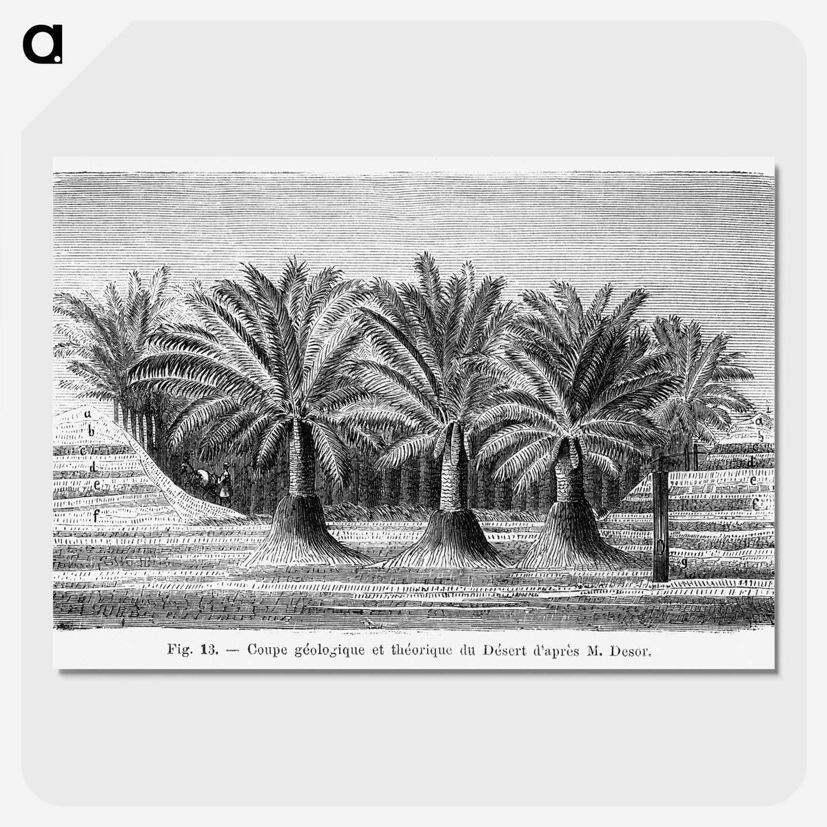 2-27_Les-Palmiers-Histoire-Iconographique_picture-crop
