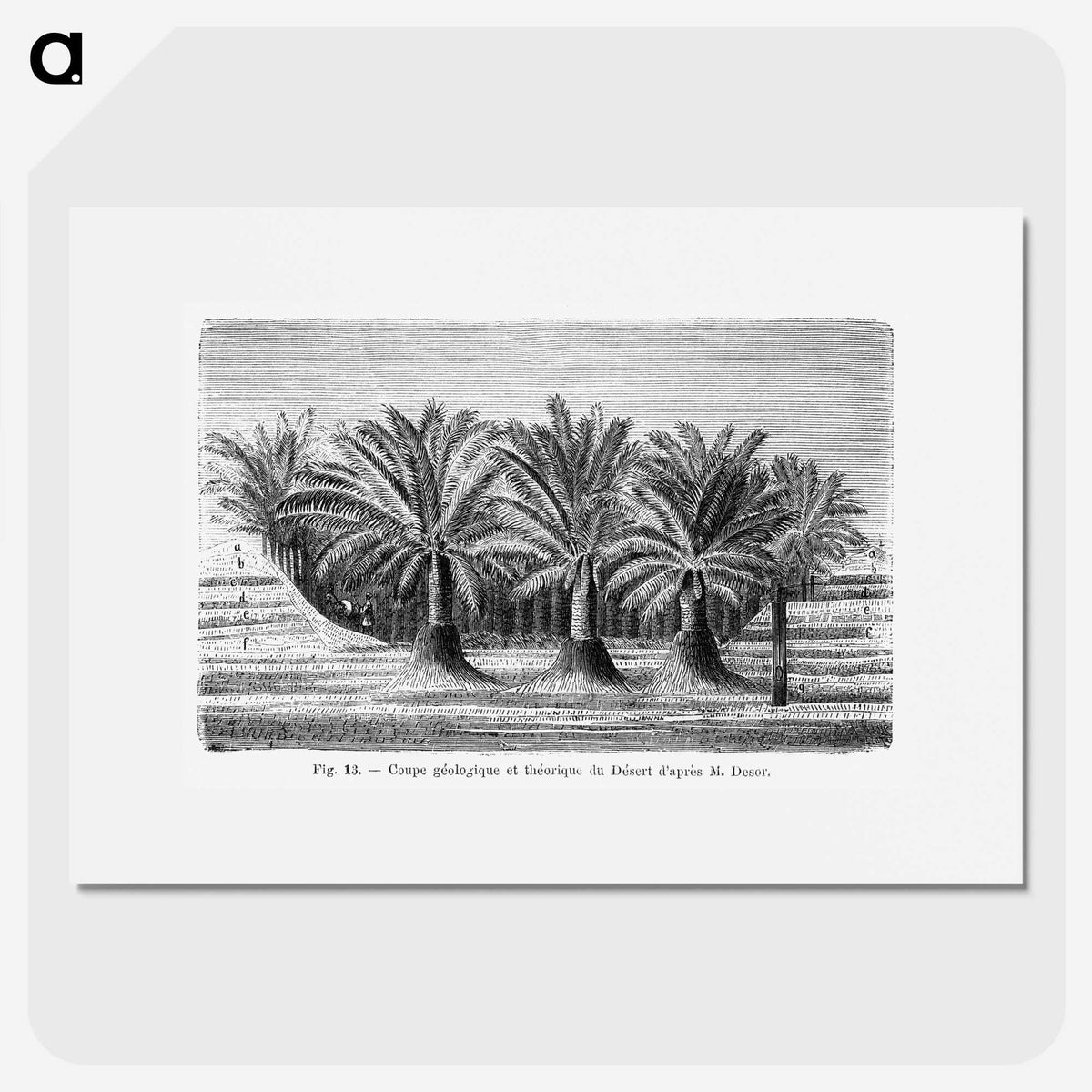 2-27_Les-Palmiers-Histoire-Iconographique_picture