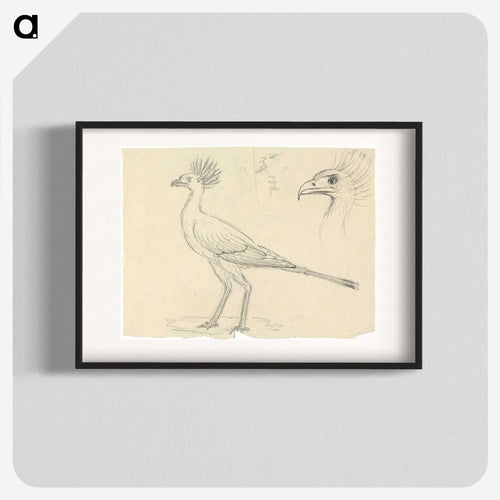 Secretary Bird
 - ルイージ バルガーニ Poster.