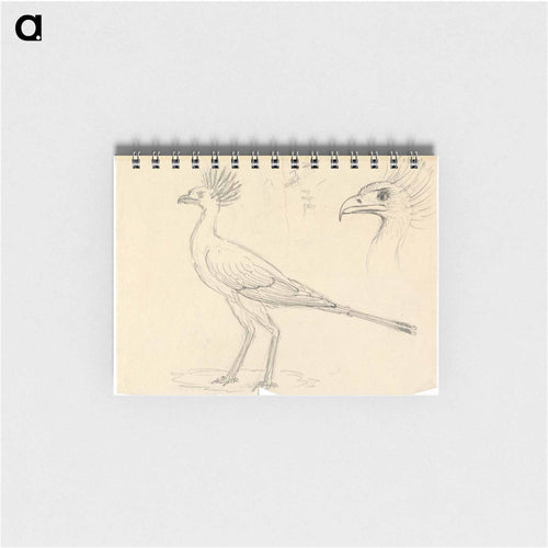 Secretary Bird
 - ルイージ バルガーニ Memo.