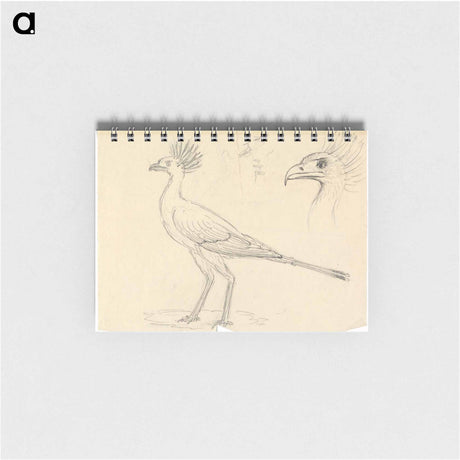 アートメモ帳-Secretary Bird
 - ルイージ バルガーニ Memo.