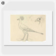 2-27_Luigi-Balugani_picture