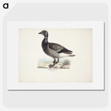 2-27_Magnus-von-Wright_picture