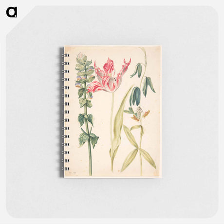 アートメモ帳-Three Flowers with Tulip
 - マリア ジビーラ メーリアン Memo.