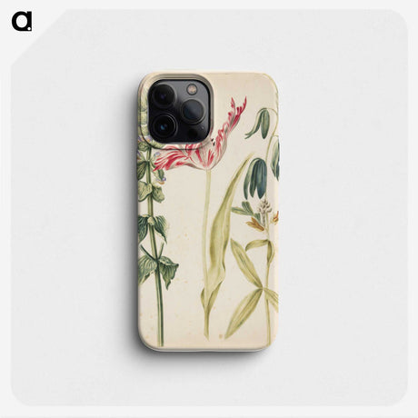 2-27_Maria-Sibylla-Merian_phone