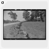 2-27_Marion-Post-Wolcott_picture-crop