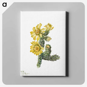 2-27_Mary-Vaux-Walcott_canvas