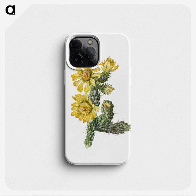 2-27_Mary-Vaux-Walcott_phone