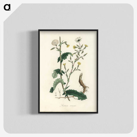 2-27_Medical-Botany_blk-crop