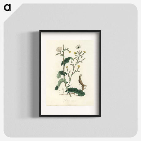 2-27_Medical-Botany_blk