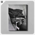 アートパネル-Infectious Diseases
 - 国立医学図書館 Canvas.