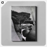 アートパネル-Infectious Diseases
 - 国立医学図書館 Canvas.