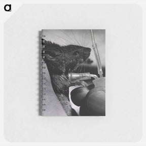 アートメモ帳-Infectious Diseases
 - 国立医学図書館 Memo.