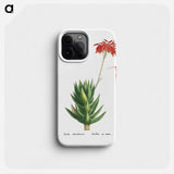 Aloe Mitroeformis (Mitre Aloe) - Pierre Joseph Redouté Phone Case.