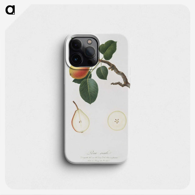 2-27_Pomona-Italiana_phone