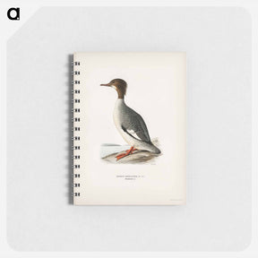 アートメモ帳-Mergus Merganser
 - スヴェンスカ フォグラル Memo.