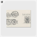 アートポストカード-Ornament
 - 装飾の文法 Postcard.