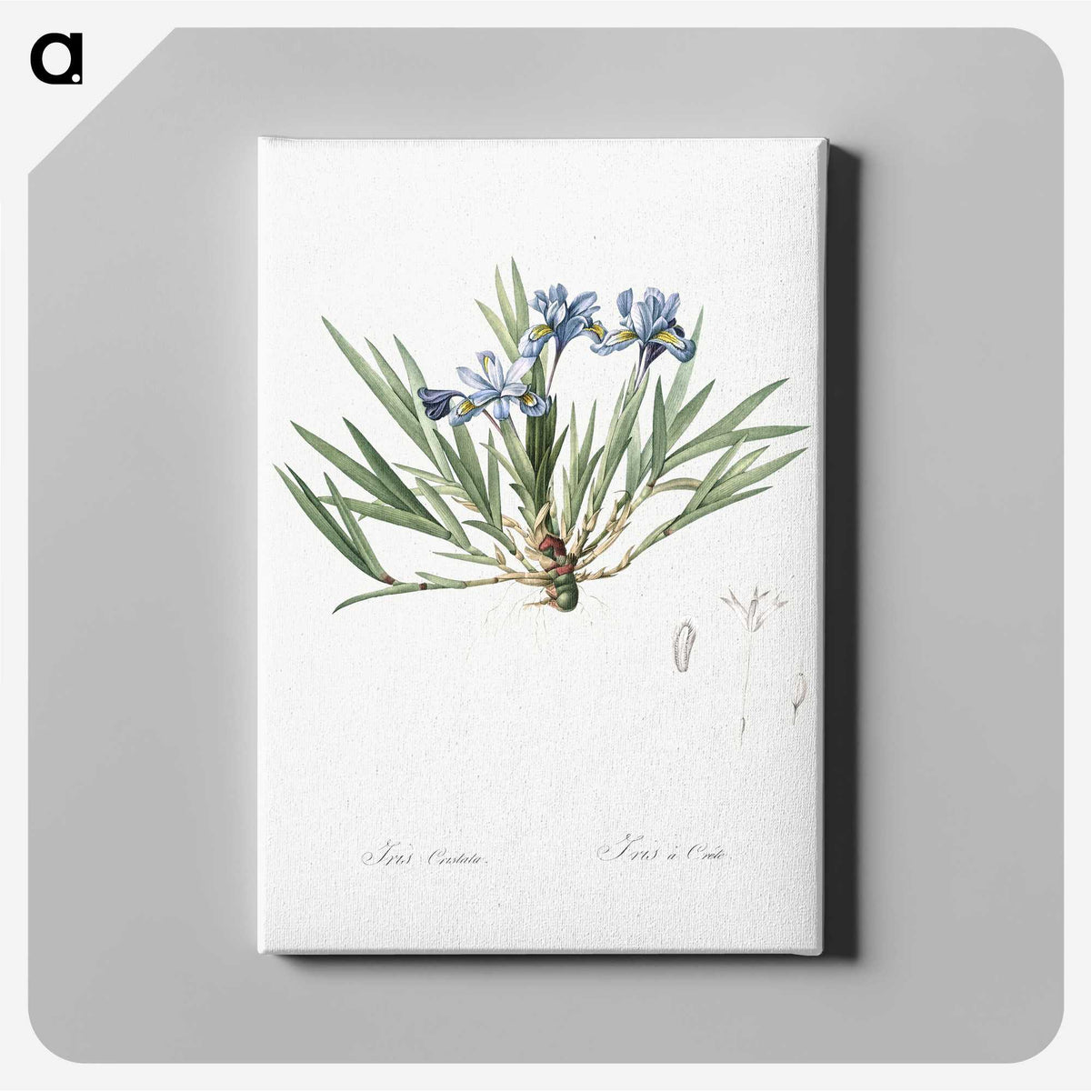 2-27_The-Lilies_canvas