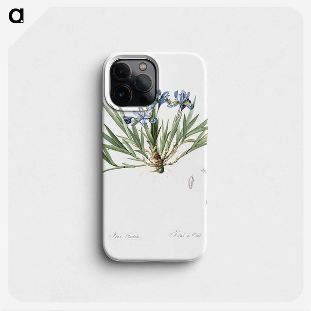 2-27_The-Lilies_phone