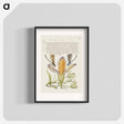 アートポスター-Damselflies, Spanish Iris, and Star-of-Bethlehem from Mira Calligraphiae Monumenta
 - 書道のお手本 Poster.