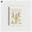 アートメモ帳-Damselflies, Spanish Iris, and Star-of-Bethlehem from Mira Calligraphiae Monumenta
 - 書道のお手本 Memo.