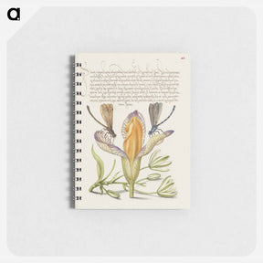 アートメモ帳-Damselflies, Spanish Iris, and Star-of-Bethlehem from Mira Calligraphiae Monumenta
 - 書道のお手本 Memo.