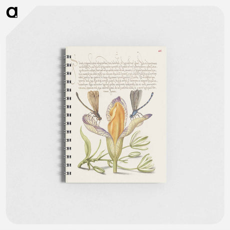 アートメモ帳-Damselflies, Spanish Iris, and Star-of-Bethlehem from Mira Calligraphiae Monumenta
 - 書道のお手本 Memo.