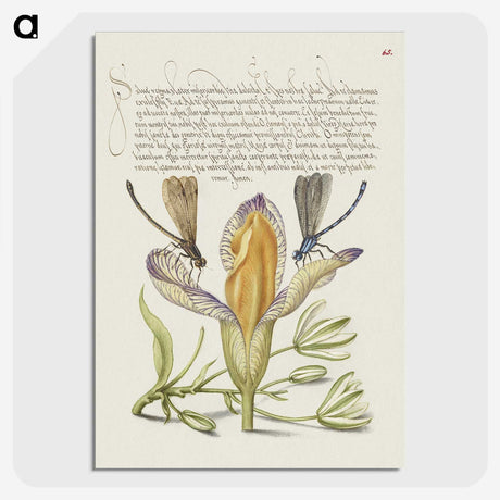 2-27_The-Model-Book-of-Calligraphy_picture-crop