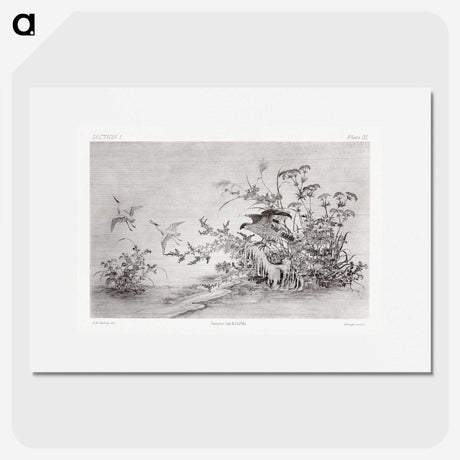 2-27_The-Ornamental-Arts-of-Japan_picture