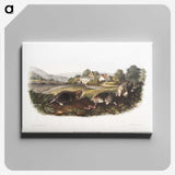 2-27_The-Viviparous-Quadrupeds_canvas