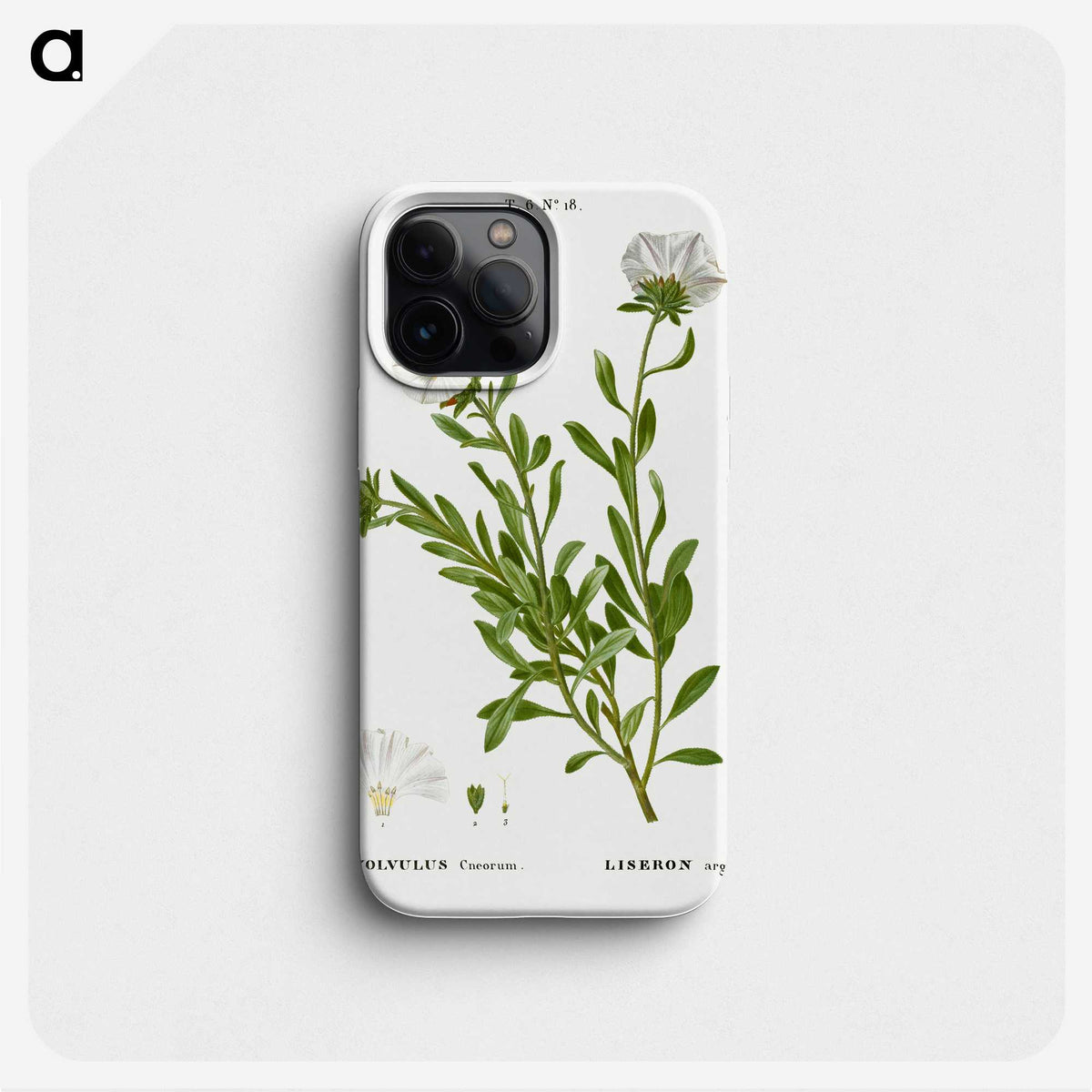 2-27_Treatise-on-Trees-and-Shrubs_phone