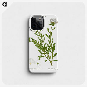 2-27_Treatise-on-Trees-and-Shrubs_phone