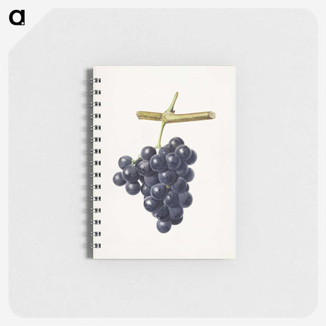 2-27_USDA-Watercolor-Fruit-Painting-Collection_memo