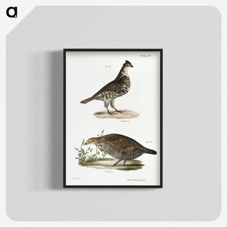 2-27_Zoology-of-New-York_blk-crop