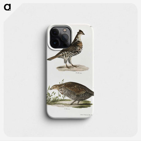 2-27_Zoology-of-New-York_phone