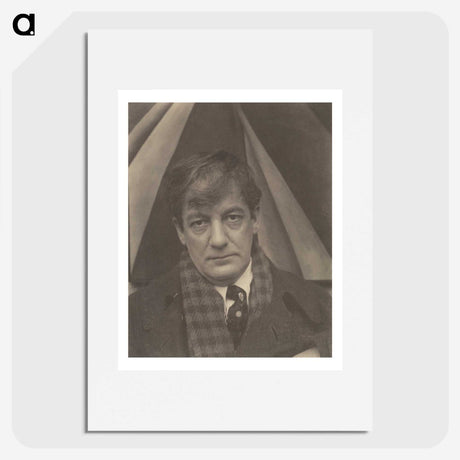 2-28_Alfred-Stieglitz_picture