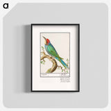 European bee-eater - アンセルムス ボエティウス デ ブート Poster.