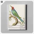 2-28_Anselmus-Boetius-de-Boodt_canvas