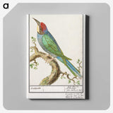 2-28_Anselmus-Boetius-de-Boodt_canvas