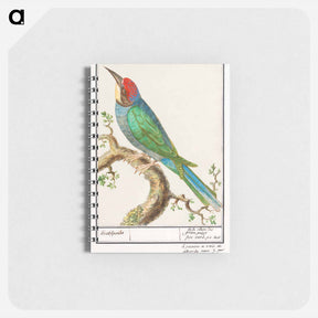 アートメモ帳-European bee-eater - アンセルムス ボエティウス デ ブート Memo.