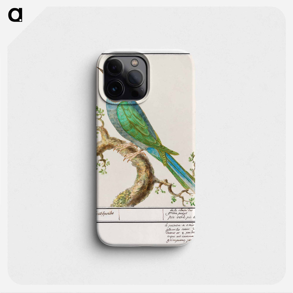 European bee-eater - アンセルムス ボエティウス デ ブート Phone Case.
