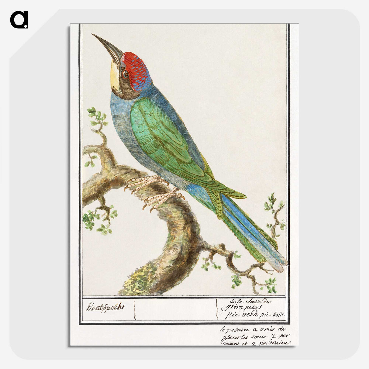 2-28_Anselmus-Boetius-de-Boodt_picture-crop