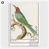 2-28_Anselmus-Boetius-de-Boodt_picture-crop