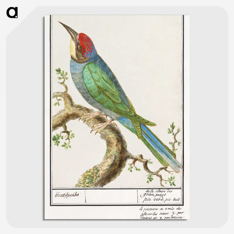 2-28_Anselmus-Boetius-de-Boodt_picture-crop