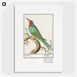 2-28_Anselmus-Boetius-de-Boodt_picture