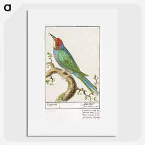 2-28_Anselmus-Boetius-de-Boodt_picture