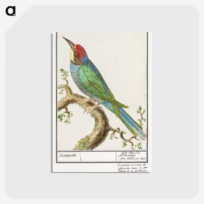 2-28_Anselmus-Boetius-de-Boodt_postcard