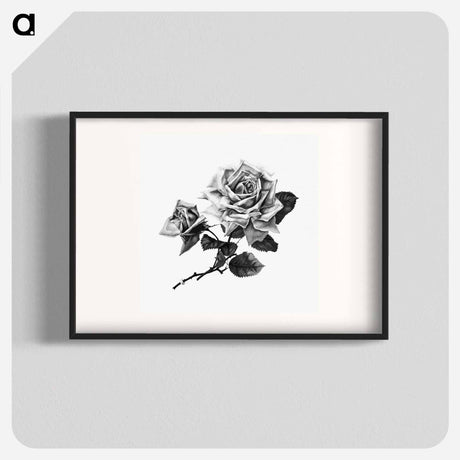 アートポスター-Rose from Songs of Love and Joy
 - 大英図書館 Poster.