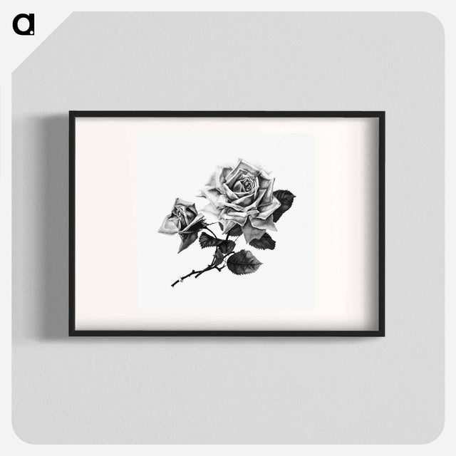 アートポスター-Rose from Songs of Love and Joy
 - 大英図書館 Poster.