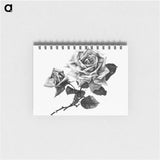 アートメモ帳-Rose from Songs of Love and Joy
 - 大英図書館 Memo.
